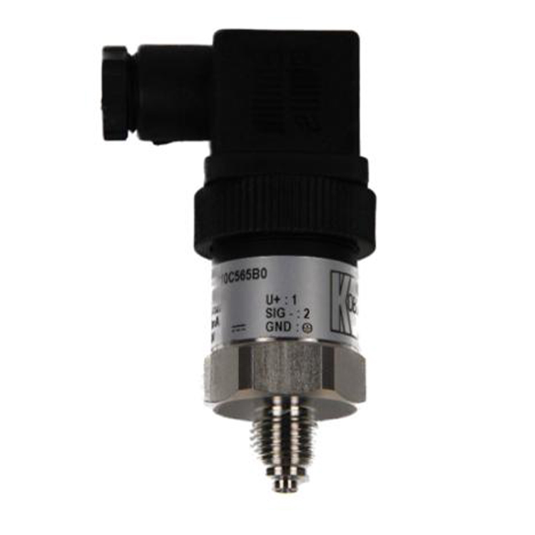 SEN96010C565B0 G 1/4" -1...24 Bar 4...20 mA Basınç Sensörü